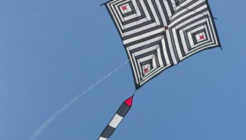 Patchwork Tosa