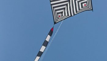 Patchwork Tosa
