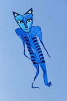 Blue Catman