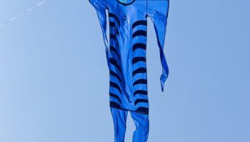 Blue Catman