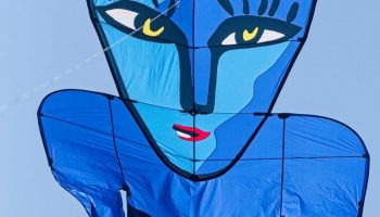 Blue Catman