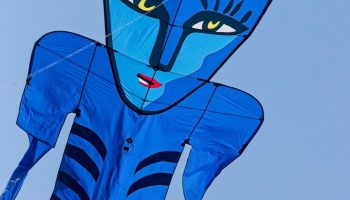 Blue Catman