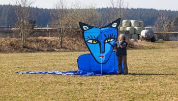 Blue Catman
