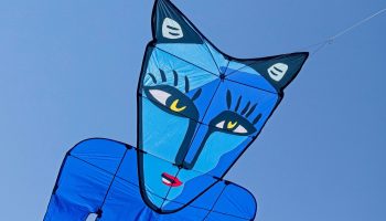 Blue Catman