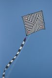 Patchwork Tosa