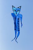 Blue Catman