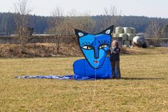 Blue Catman