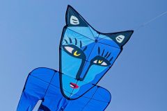 Blue Catman