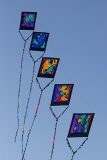 20220305_180700_0026-scaled