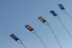 20220305_180810_0036-scaled