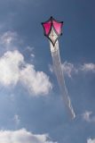 20220319_160955_0012-scaled