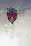 20220413_181140_0001-scaled