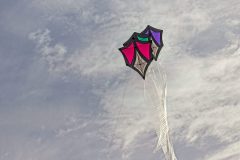 20220413_181158_0005-scaled
