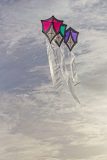 20220413_181222_0014-scaled