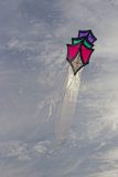 20220413_181411_0033-scaled