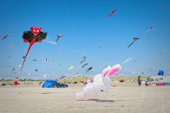 20190617_154741_27350-scaled