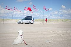 20190621_142845_27438-scaled