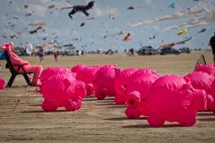 20190621_155105_27492-scaled