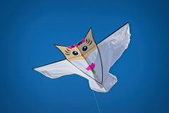 20190622_153956_27622-scaled