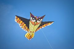 20190622_154110_27629-scaled