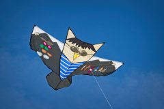 20190622_154124_27634-scaled