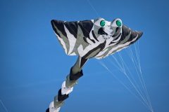 20190622_155049_27640-scaled