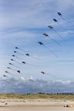 unsere Drachenketten am Himmel