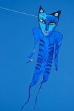 unser Blue Catman