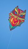Drachen mit Eulenmotiv