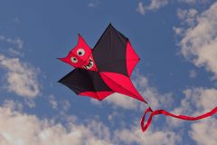20250920_162724_0013-scaled