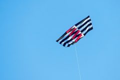 Genki "Stripes"