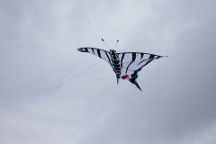 20220924_141116_0047-scaled