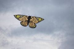 20220924_141251_0054-scaled