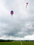 20220925_125749_0096-scaled