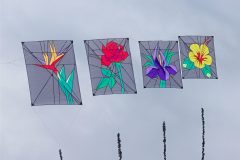 20220925_131730_0102-scaled
