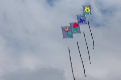 20220925_132820_0109-scaled