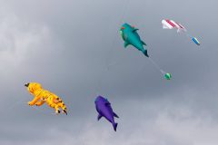 20220925_140257_0124-scaled