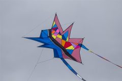 20220925_144131_0129-scaled