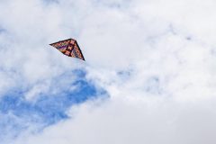 20221015_133516_0072-scaled