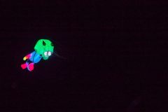 20221015_180159_0108-scaled