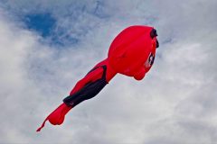 20221016_075332_0120-scaled