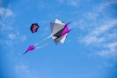 20221016_094432_0138-scaled