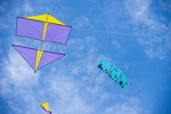 20221016_094503_0140-scaled