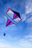 20221016_110011_0172-scaled