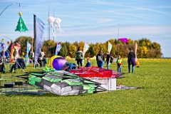 20221016_120645_0197-scaled