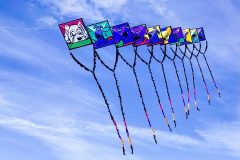 20221016_125245_0157-scaled
