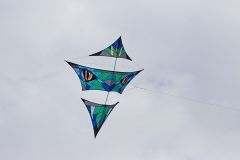 Phoenix in Patchwork-Technik