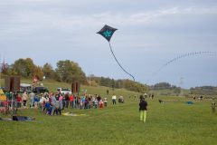 Patchwork-Hata im Flug