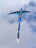 Feuervogel