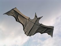 Fledermaus
